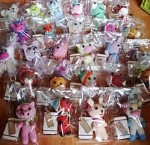 355116715_6374016762680043_6375671634899205620_n